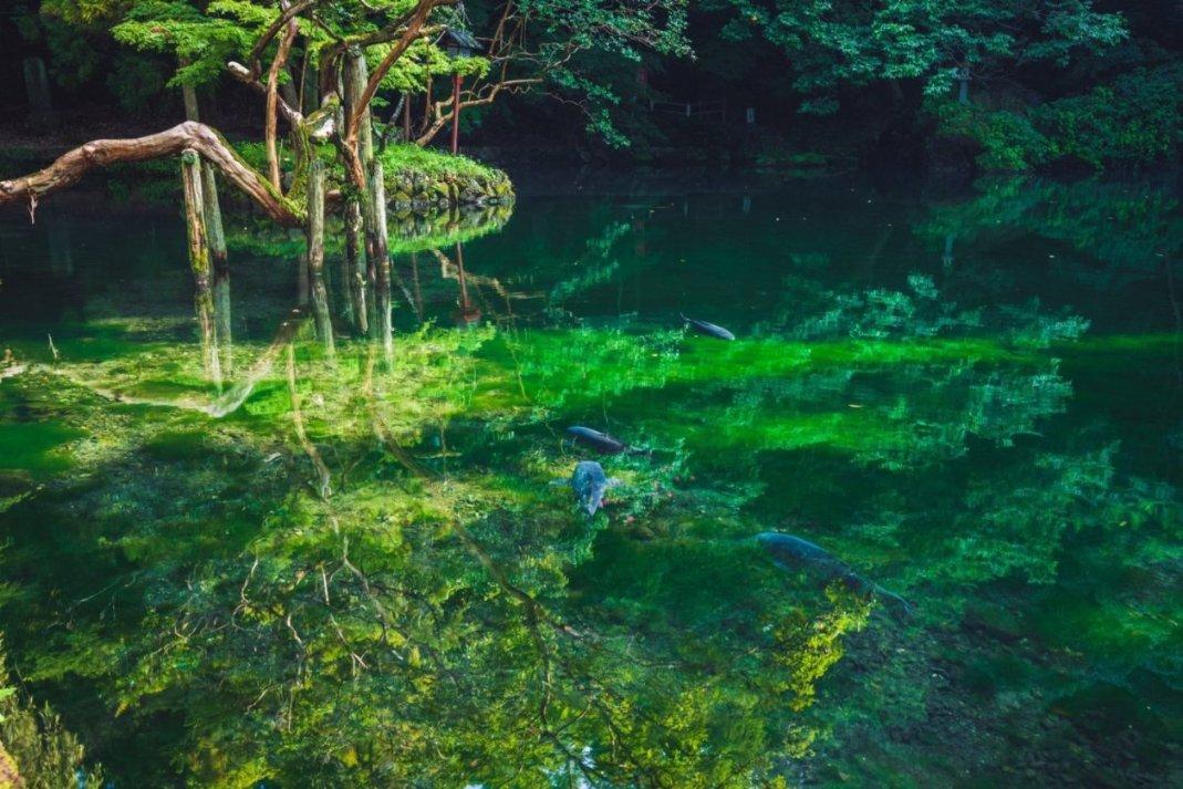 林允露耳短发写真释出，她是否适合这样的造型？游戏画面
